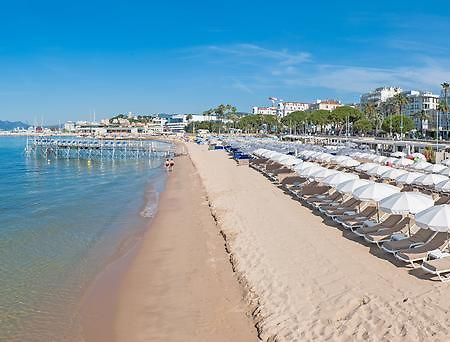 Petit Nid Douillet Cannes Room photo